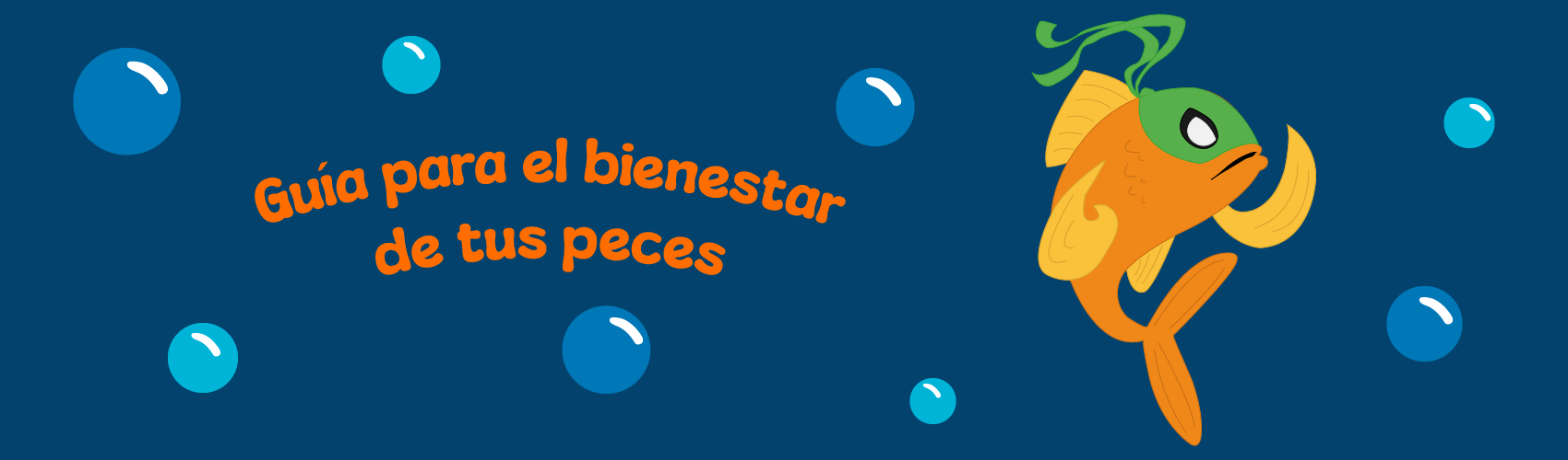 Guía para el bienestar de tus peces